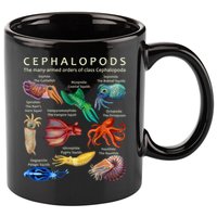 The Cephalopod: Octopus, Squid, Cuttlefish, And Nautilus 11oz C Handle Ceramic Mug