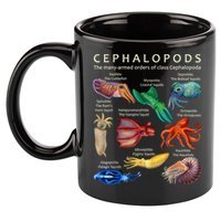 The Cephalopod: Octopus, Squid, Cuttlefish, And Nautilus 11oz C Handle Ceramic Mug
