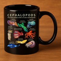 The Cephalopod: Octopus, Squid, Cuttlefish, And Nautilus 11oz C Handle Ceramic Mug
