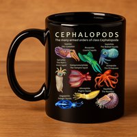 The Cephalopod: Octopus, Squid, Cuttlefish, And Nautilus 11oz C Handle Ceramic Mug