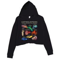 The Cephalopod: Octopus, Squid, Cuttlefish, And Nautilus Crop Fleece Hoodie