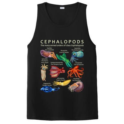 The Cephalopod: Octopus, Squid, Cuttlefish, And Nautilus PosiCharge Competitor Tank