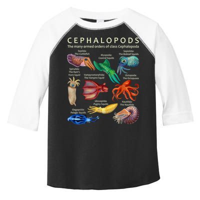 The Cephalopod: Octopus, Squid, Cuttlefish, And Nautilus Toddler Fine Jersey T-Shirt