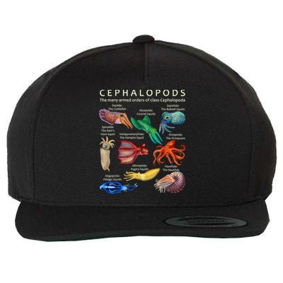 The Cephalopod: Octopus, Squid, Cuttlefish, And Nautilus Wool Snapback Cap