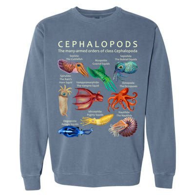 The Cephalopod: Octopus, Squid, Cuttlefish, And Nautilus Garment-Dyed Sweatshirt