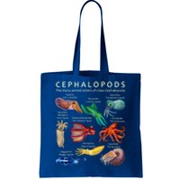 The Cephalopod: Octopus, Squid, Cuttlefish, And Nautilus Tote Bag