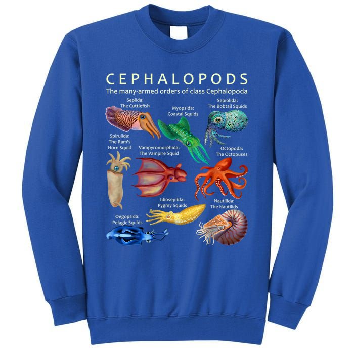 The Cephalopod: Octopus, Squid, Cuttlefish, And Nautilus Tall Sweatshirt