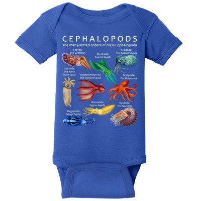 The Cephalopod: Octopus, Squid, Cuttlefish, And Nautilus Baby Bodysuit