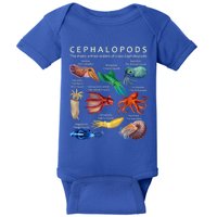 The Cephalopod: Octopus, Squid, Cuttlefish, And Nautilus Baby Bodysuit