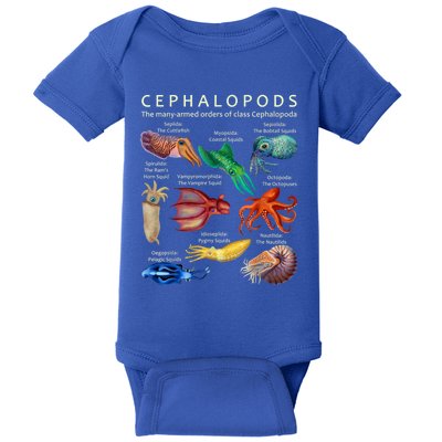 The Cephalopod: Octopus, Squid, Cuttlefish, And Nautilus Baby Bodysuit