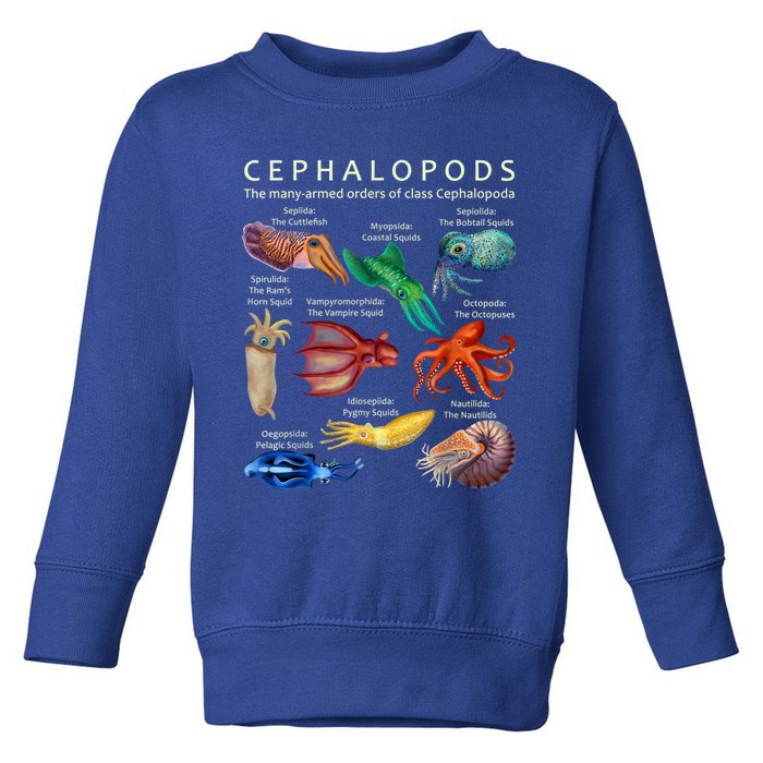 The Cephalopod: Octopus, Squid, Cuttlefish, And Nautilus Toddler Sweatshirt