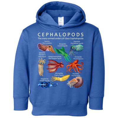 The Cephalopod: Octopus, Squid, Cuttlefish, And Nautilus Toddler Hoodie