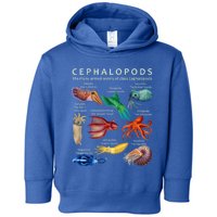 The Cephalopod: Octopus, Squid, Cuttlefish, And Nautilus Toddler Hoodie