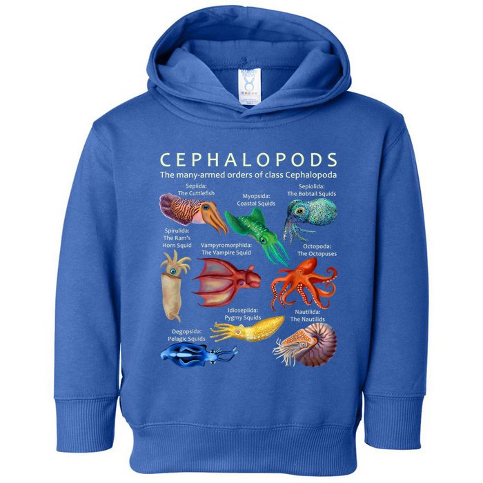 The Cephalopod: Octopus, Squid, Cuttlefish, And Nautilus Toddler Hoodie