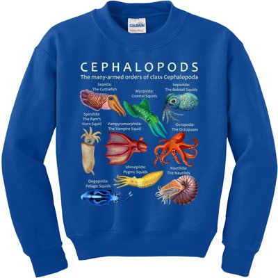 The Cephalopod: Octopus, Squid, Cuttlefish, And Nautilus Kids Sweatshirt