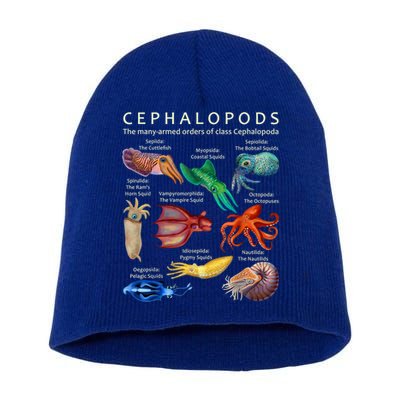 The Cephalopod: Octopus, Squid, Cuttlefish, And Nautilus Short Acrylic Beanie