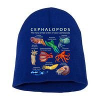 The Cephalopod: Octopus, Squid, Cuttlefish, And Nautilus Short Acrylic Beanie