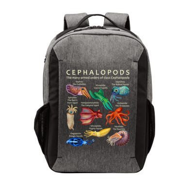 The Cephalopod: Octopus, Squid, Cuttlefish, And Nautilus Vector Backpack