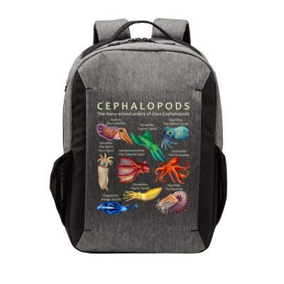 The Cephalopod: Octopus, Squid, Cuttlefish, And Nautilus Vector Backpack