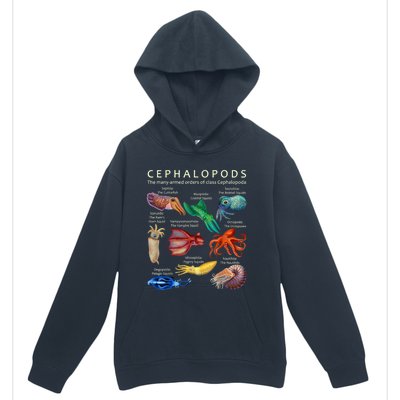 The Cephalopod: Octopus, Squid, Cuttlefish, And Nautilus Urban Pullover Hoodie