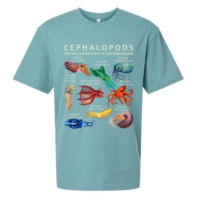 The Cephalopod: Octopus, Squid, Cuttlefish, And Nautilus Sueded Cloud Jersey T-Shirt