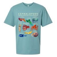 The Cephalopod: Octopus, Squid, Cuttlefish, And Nautilus Sueded Cloud Jersey T-Shirt