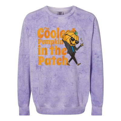 The Coolest Pumpkin In The Patch Kids Pumpkin Halloween Colorblast Crewneck Sweatshirt