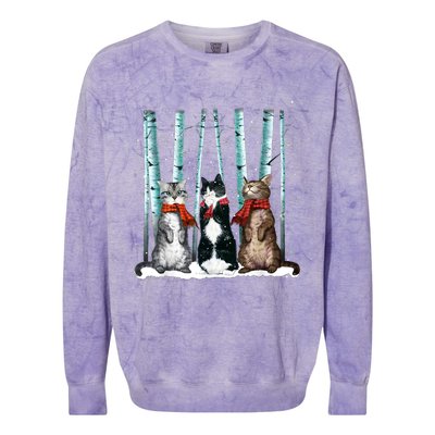 Three Cats Play Snow Winter Funny Cat Lover Merry Christmas Colorblast Crewneck Sweatshirt