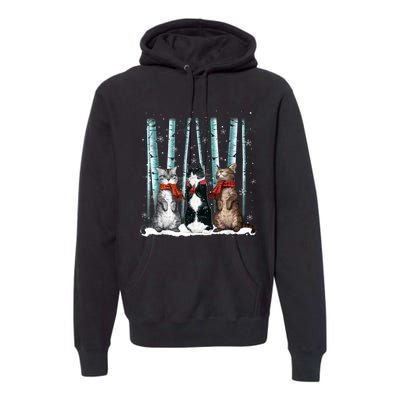 Three Cats Play Snow Winter Funny Cat Lover Merry Christmas Premium Hoodie