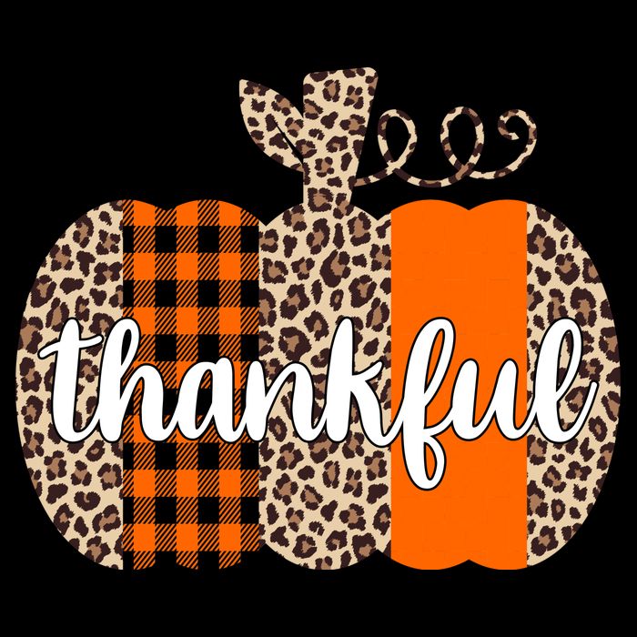 Thankful Cheetah Plaid Pumpkin Cute Holiday Apron