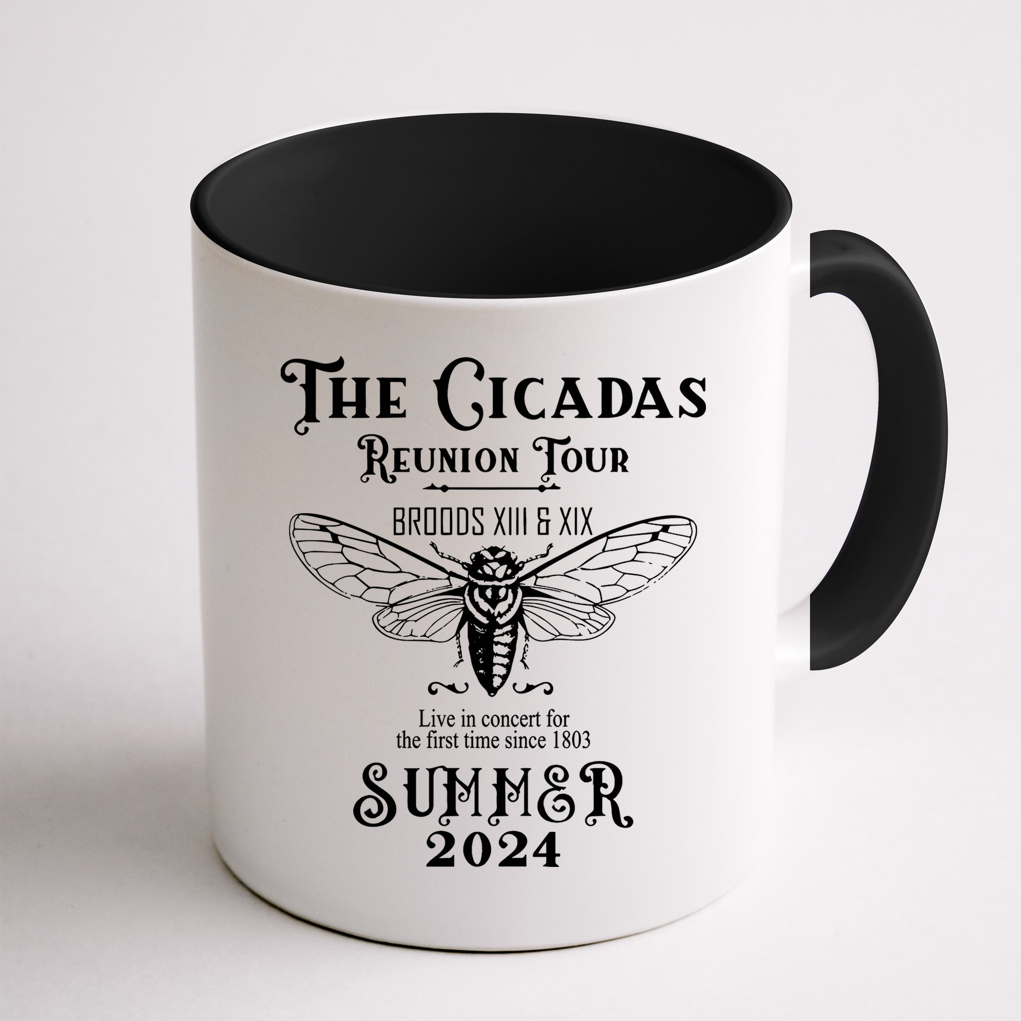 The Cicadas Reunion Summer 2024 Mug