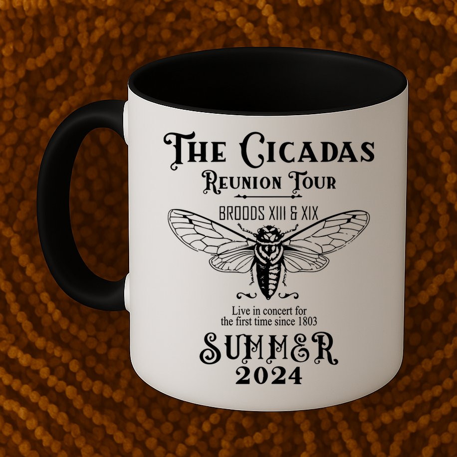 The Cicadas Reunion Summer 2024 Mug