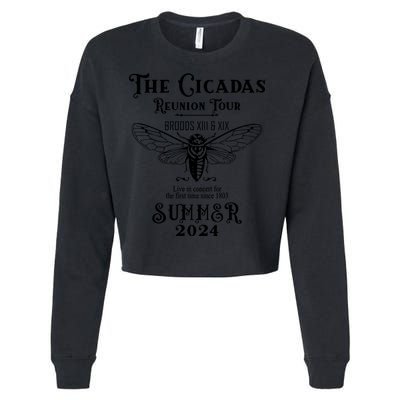 The Cicadas Reunion Summer 2024 Cropped Pullover Crew