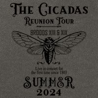 The Cicadas Reunion Summer 2024 Cotton Canvas Backpack