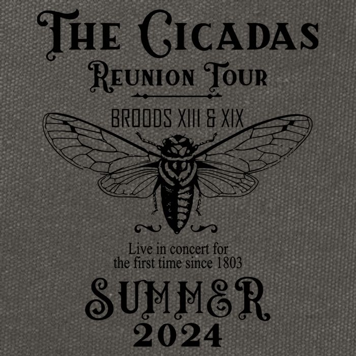 The Cicadas Reunion Summer 2024 Cotton Canvas Backpack