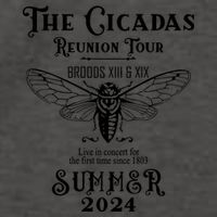 The Cicadas Reunion Summer 2024 Vector Backpack