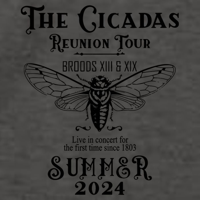 The Cicadas Reunion Summer 2024 Vector Backpack