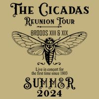 The Cicadas Reunion Summer 2024 Button