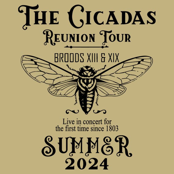 The Cicadas Reunion Summer 2024 Button