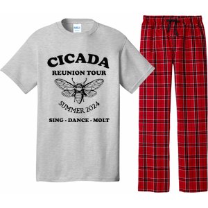 The Cicada Reunion U.S 2024 Cicada Concert Fest Lover Pajama Set