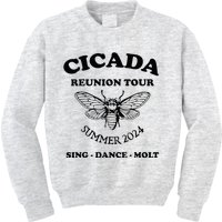 The Cicada Reunion U.S 2024 Cicada Concert Fest Lover Kids Sweatshirt