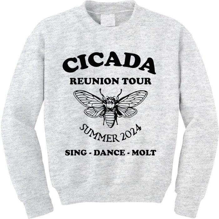 The Cicada Reunion U.S 2024 Cicada Concert Fest Lover Kids Sweatshirt