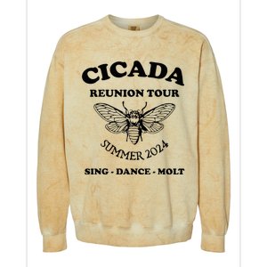 The Cicada Reunion U.S 2024 Cicada Concert Fest Lover Colorblast Crewneck Sweatshirt