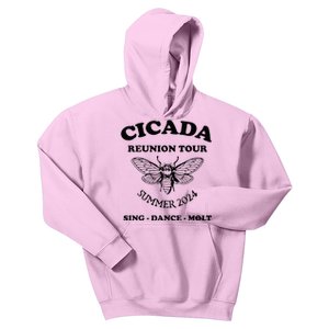 The Cicada Reunion U.S 2024 Cicada Concert Fest Lover Kids Hoodie