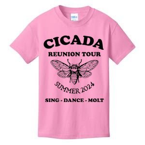 The Cicada Reunion U.S 2024 Cicada Concert Fest Lover Kids T-Shirt