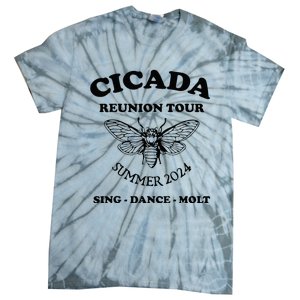 The Cicada Reunion U.S 2024 Cicada Concert Fest Lover Tie-Dye T-Shirt