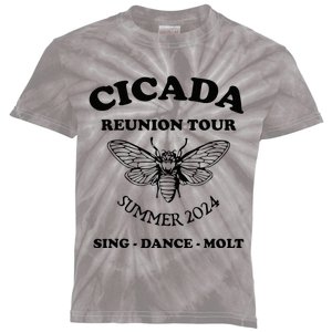 The Cicada Reunion U.S 2024 Cicada Concert Fest Lover Kids Tie-Dye T-Shirt