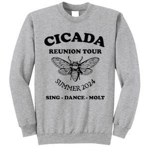 The Cicada Reunion U.S 2024 Cicada Concert Fest Lover Sweatshirt