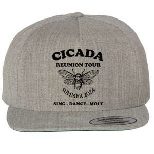 The Cicada Reunion U.S 2024 Cicada Concert Fest Lover Wool Snapback Cap