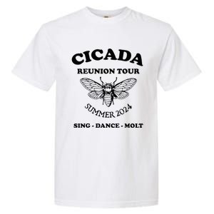 The Cicada Reunion U.S 2024 Cicada Concert Fest Lover Garment-Dyed Heavyweight T-Shirt